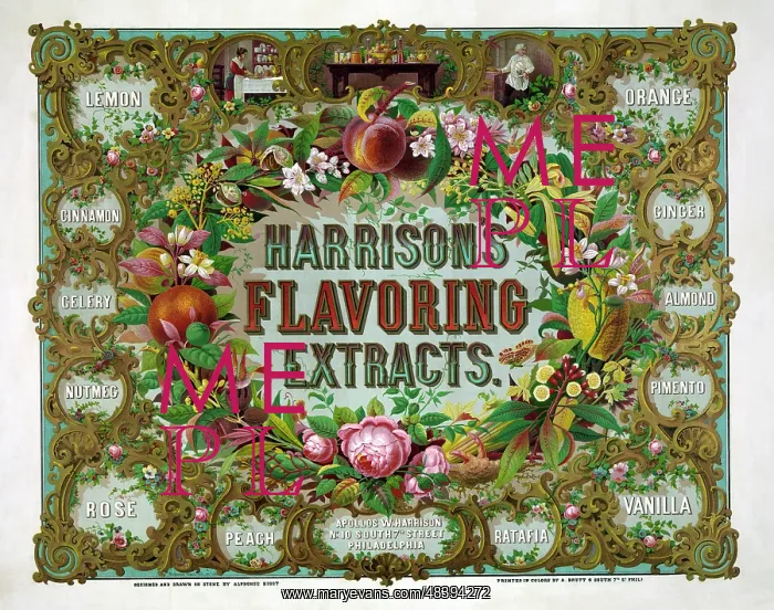 : Vintage advertisement for Harrison's flavoring : Vintage advertisement for Harrison's flavoring