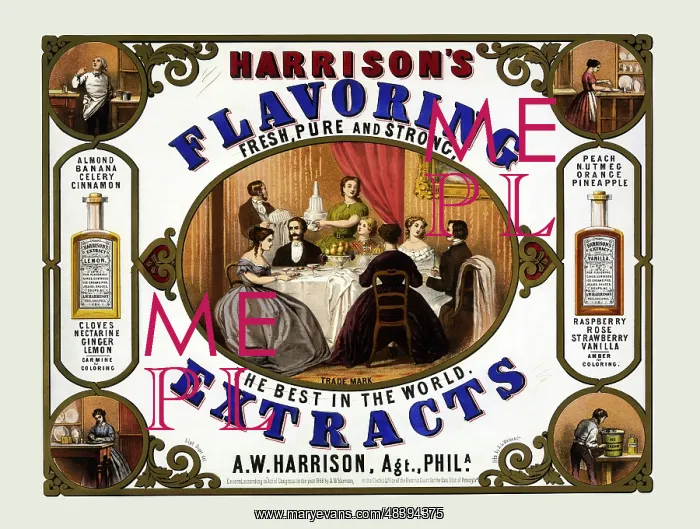 : Vintage advertisement for Harrison's flavoring : Vintage advertisement for Harrison's flavoring