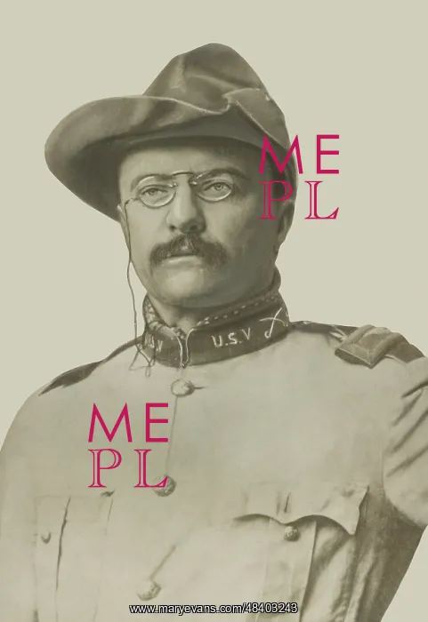 : Vintage American History print of Colonel : Vintage American History print of Colonel