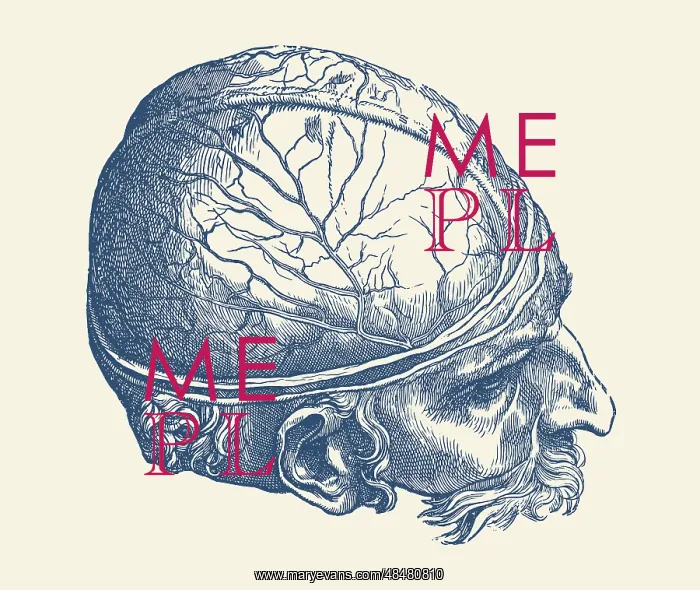 : Vintage anatomy print features an artistic view : Vintage anatomy print features an artistic view