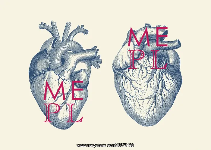 : Vintage anatomy print features a dual view of : Vintage anatomy print features a dual view of