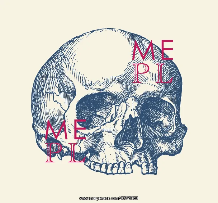 : Vintage anatomy print features a view of the human : Vintage anatomy print features a view of the human