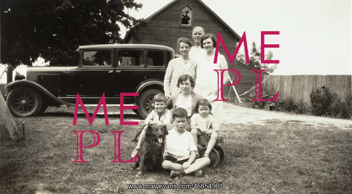  : Vintage car