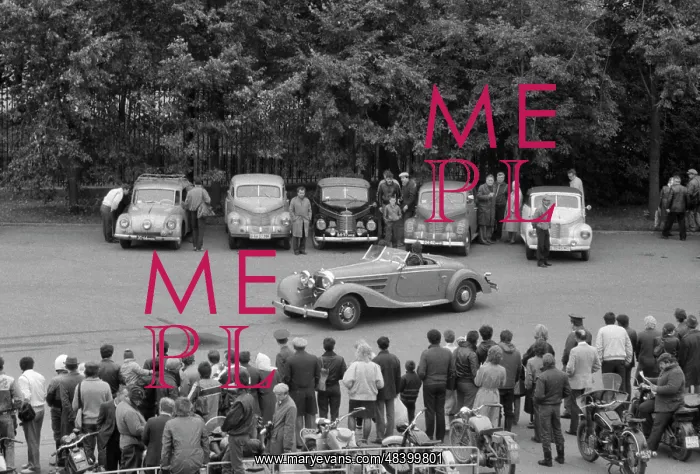 : Vintage Cars Show : Vintage Cars Show