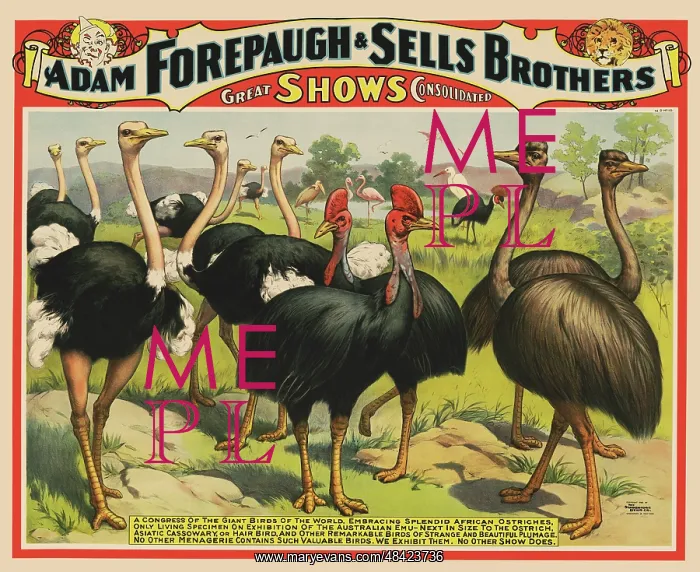 : Vintage circus poster for Adam Forepaugh & Sells : Vintage circus poster for Adam Forepaugh & Sells