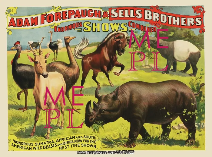 : Vintage circus poster for Adam Forepaugh & Sells : Vintage circus poster for Adam Forepaugh & Sells