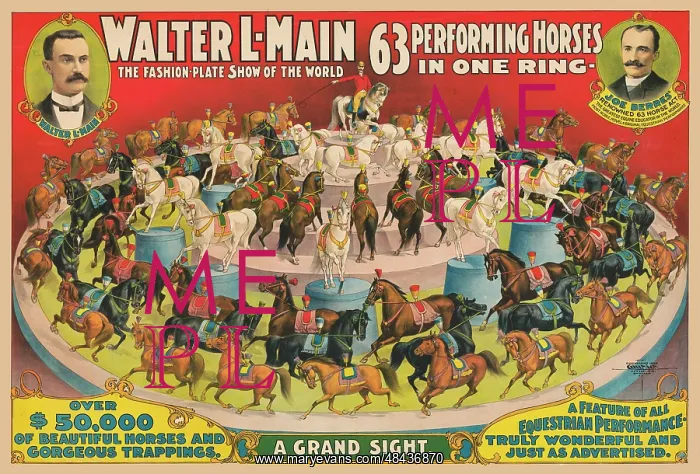 : Vintage circus poster - a ring of 63 performing : Vintage circus poster - a ring of 63 performing