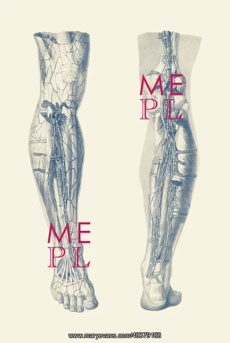 : Vintage print showing a dual view of the human : Vintage print showing a dual view of the human