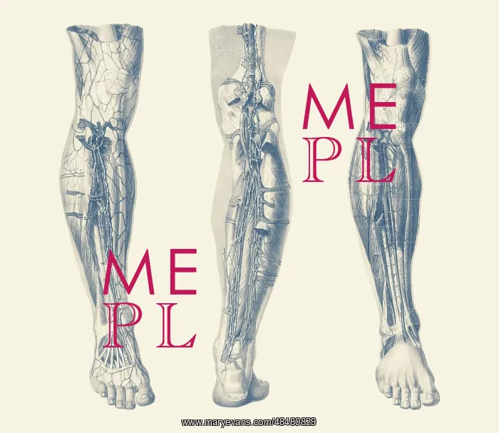 : Vintage print showing three views of the human : Vintage print showing three views of the human