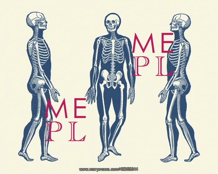 : Vintage print - skeleton from multiple vantage points : Vintage print - skeleton from multiple vantage points
