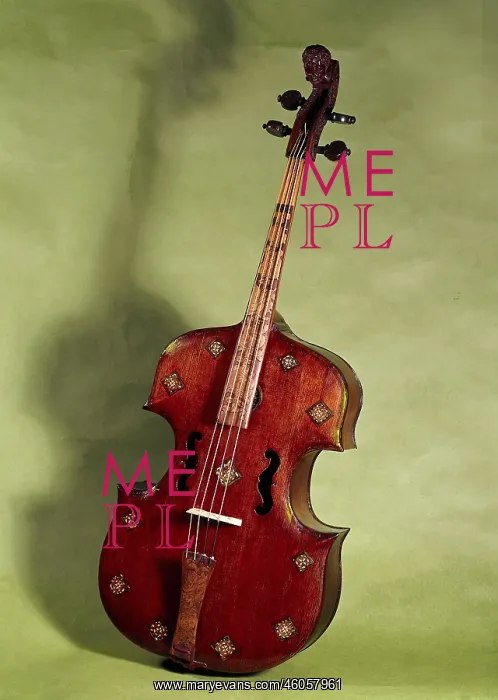  : Viola da Gamba