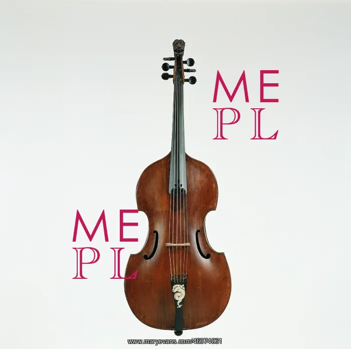 : Viola da gamba : Viola da gamba