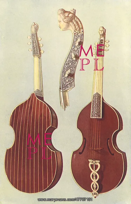 : Viola da Gamba : Viola da Gamba