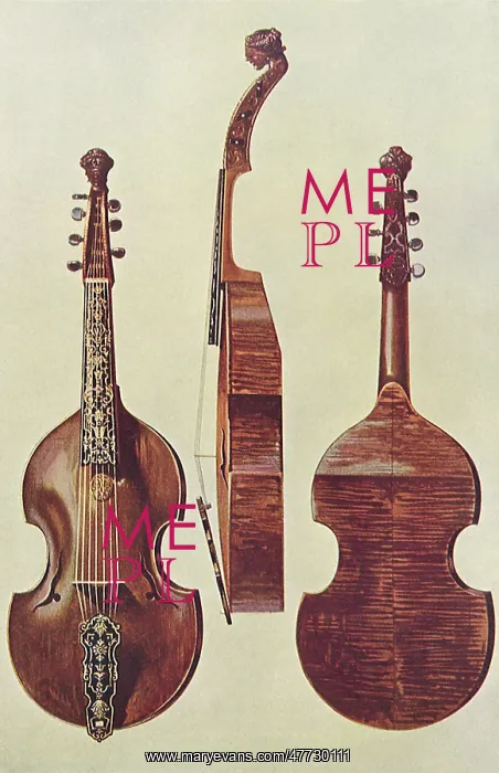 : Viola D'Amore : Viola D'Amore
