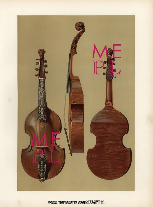 : Viola d'amore or the Love Viol : Viola d'amore or the Love Viol