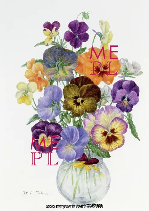  : Viola Group