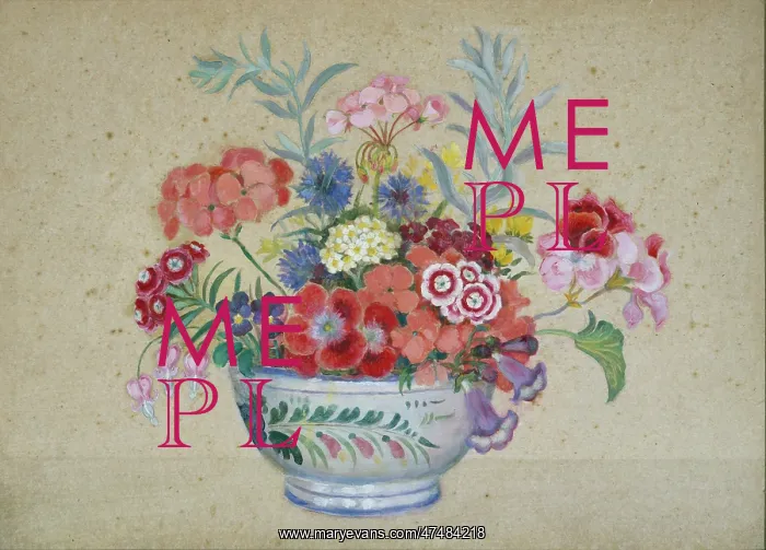 : Violas, Geraniums and Sweet Williams : Violas, Geraniums and Sweet Williams