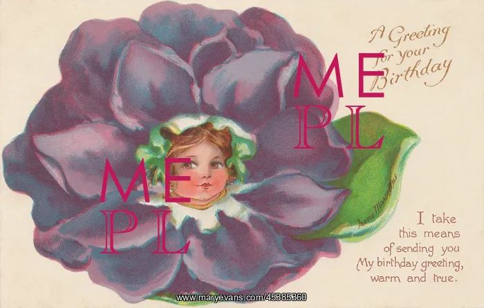 : Violet Flower Faces : Violet Flower Faces