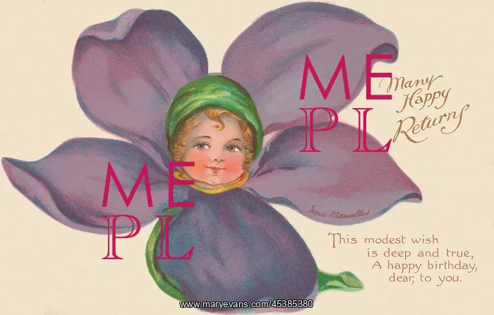  : Violet Flower Faces