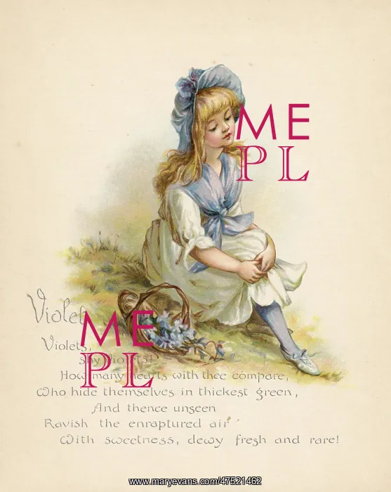  : Violet  /  Language of Flowers