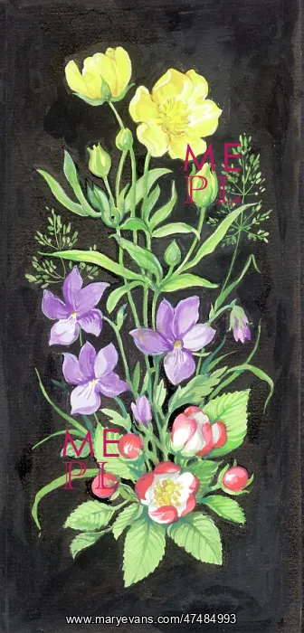  : Violets, buttercups and blossom on black background