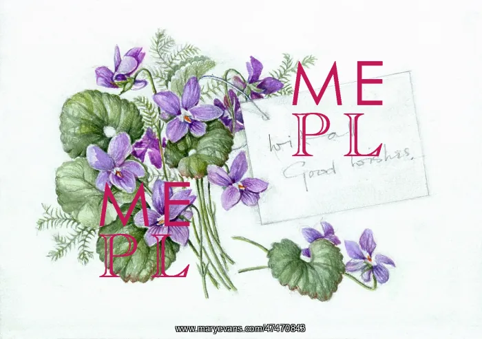 : Violets with greeting ' posy of violets : Violets with greeting ' posy of violets