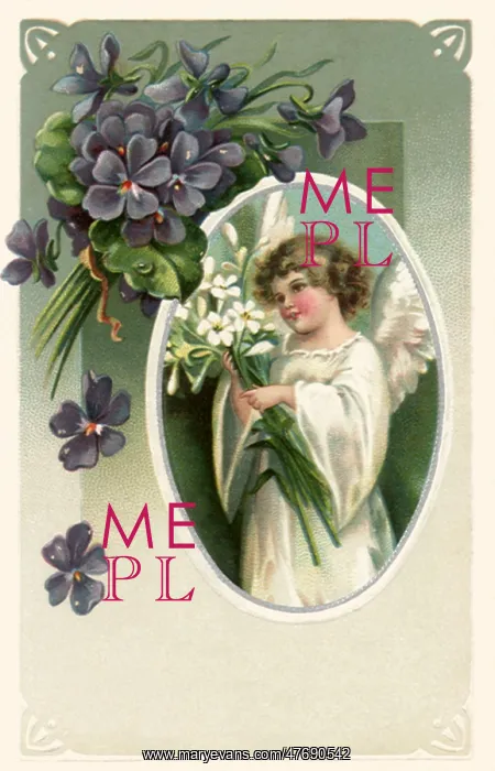  : Violets and Lilies