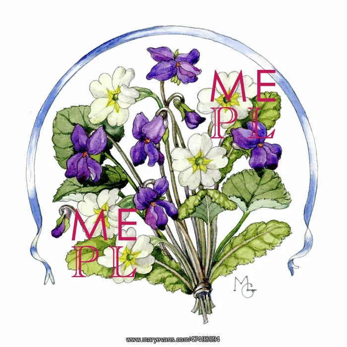: Violets and primroses : Violets and primroses