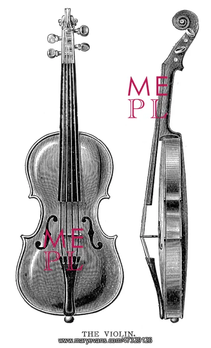 : Violin on its Own : Violin on its Own