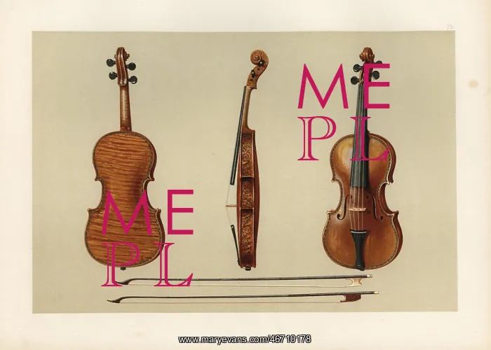 : Violin bought by Samuel Hellier in 1679 from : Violin bought by Samuel Hellier in 1679 from