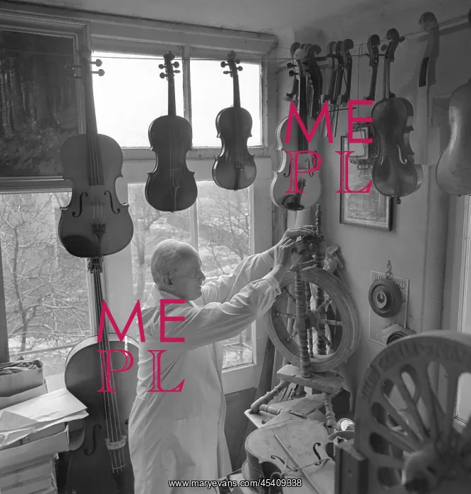 : Violin - violin - maker : Violin - violin - maker