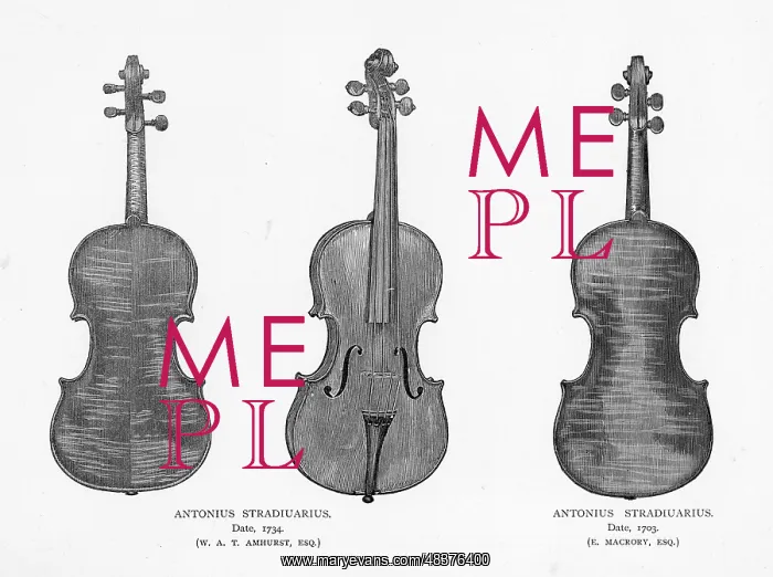 : Violins by Stradivarius : Violins by Stradivarius