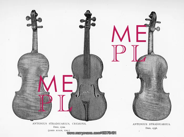 : Violins by Stradivarius : Violins by Stradivarius