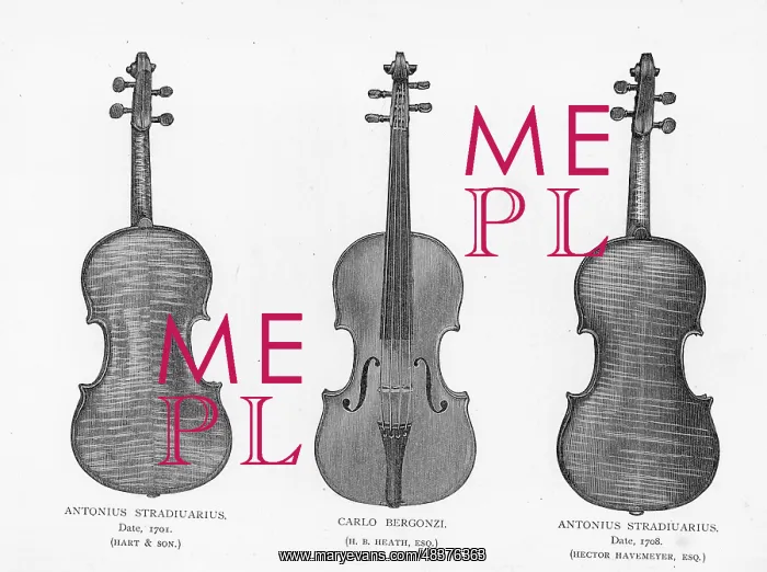 : Three violins by Stradivarius and Bergonzi : Three violins by Stradivarius and Bergonzi