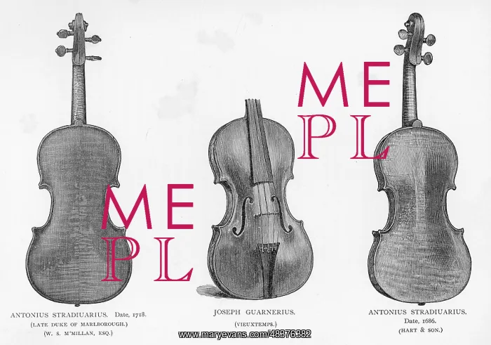 : Three violins by Stradivarius and Guarnerius : Three violins by Stradivarius and Guarnerius