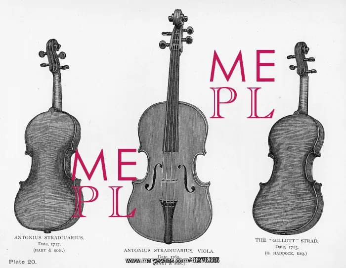 : Two violins and a viola by Stradivarius : Two violins and a viola by Stradivarius
