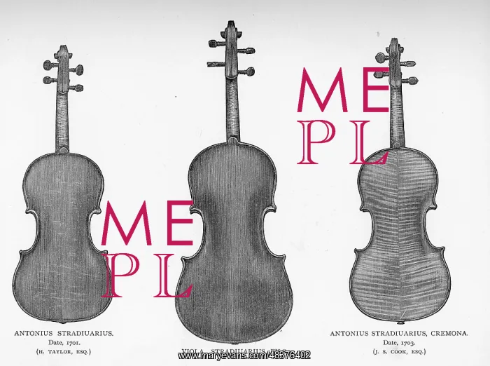 : Two violins and a viola by Stradivarius : Two violins and a viola by Stradivarius