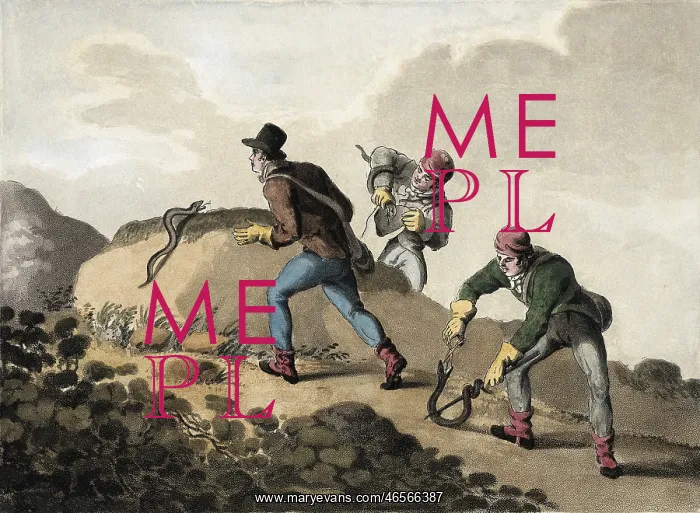 : Viper Hunt (19th c.). Litography : Viper Hunt (19th c.). Litography
