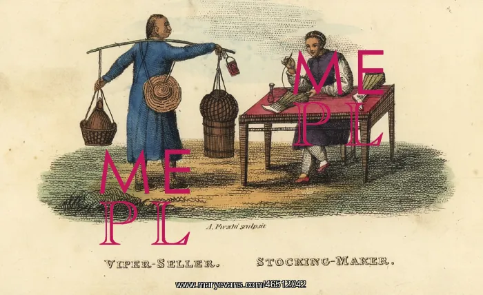 : Viper seller and stocking maker, Qing Dynasty : Viper seller and stocking maker, Qing Dynasty