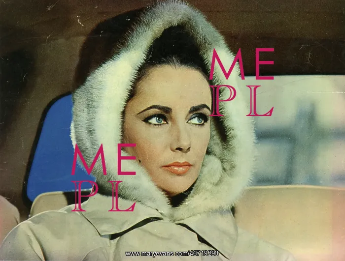 : The V.I.P.s starring Elizabeth Taylor and Richard Burton : The V.I.P.s starring Elizabeth Taylor and Richard Burton