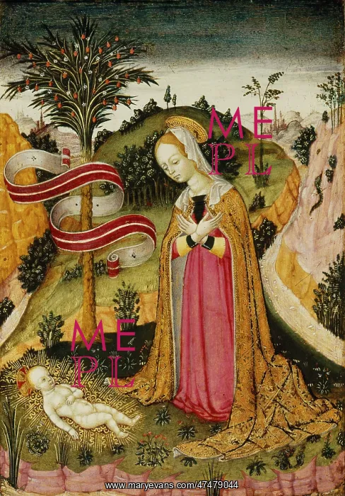 : The Virgin in Adoration of an Infant : The Virgin in Adoration of an Infant