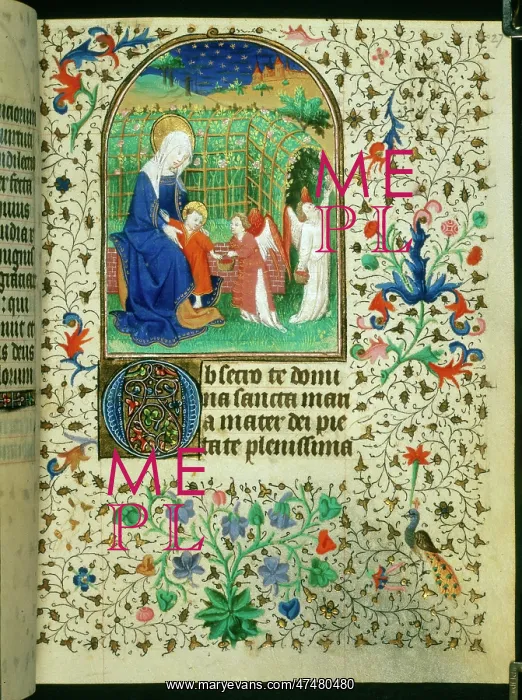 : The Virgin and Child in a Rose Garden : The Virgin and Child in a Rose Garden
