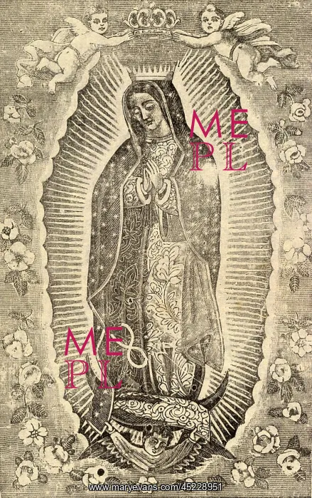 : Detail of the Virgin of Guadalupe, titled: ? : Detail of the Virgin of Guadalupe, titled: ?