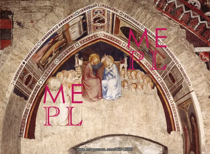 : Virgin Mary : Virgin Mary