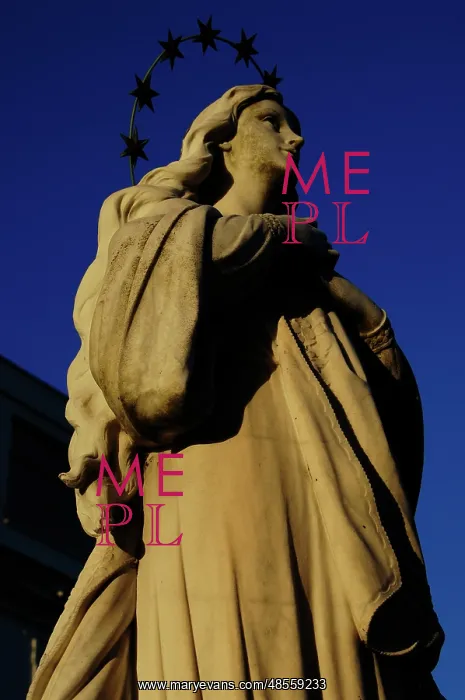  : Virgin statue. Castel Gandolfo. Italy