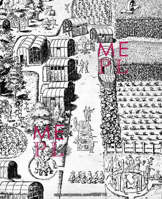 : Virginia 1588 : Virginia 1588