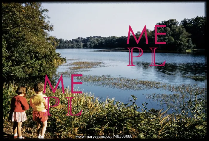 : Virginia Water, Egham, Runnymede, Surrey : Virginia Water, Egham, Runnymede, Surrey
