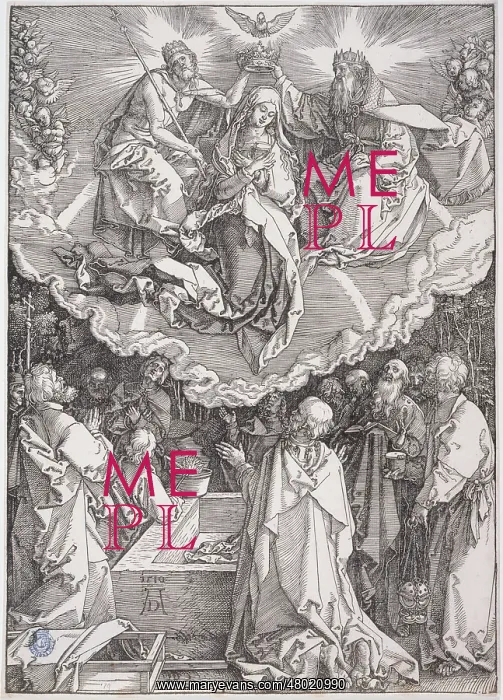 : The Virgin's Assumption : The Virgin's Assumption