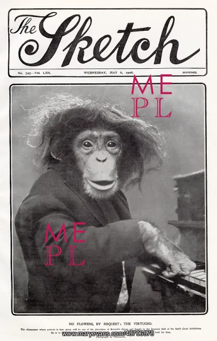 : Virtuoso performing chimpanzee 1908 : Virtuoso performing chimpanzee 1908