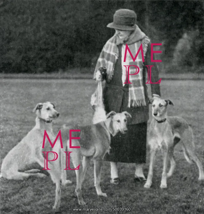 : Viscountess Downe and her lurchers : Viscountess Downe and her lurchers